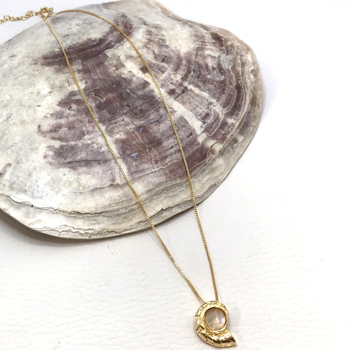 Nautilus Shaped Necklace - Nautilus
