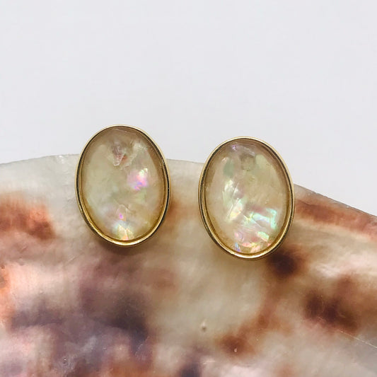 Sea Shell Oval Earring- Nautilus - Gold Plated